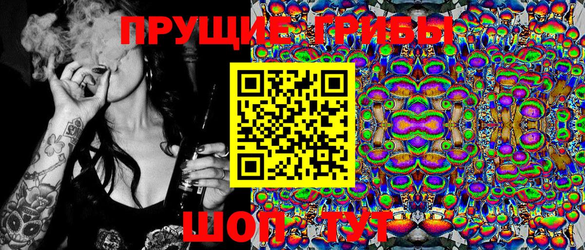 где найти   Вход с VPN  Урус-Мартан  Галлюциногенные грибы Psilocybe  Галлюциногенные грибы мухоморы 